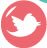 Bridelicious Twitter Page